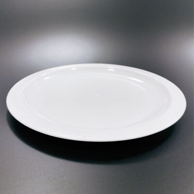 Unbreakable white dinner plate in Lexan