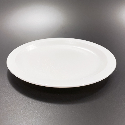 White unbreakable Lexan plate