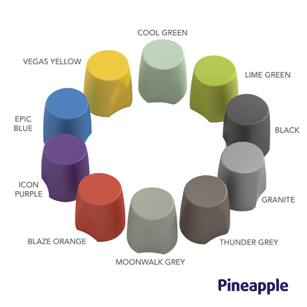 Rynon värit nimetty 4 Pineapple 440x440 1