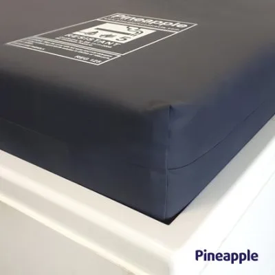 Polar perspective detail Pineapple 440x440 1