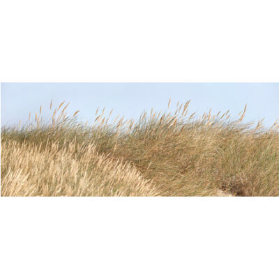 Wall art, image of lyme grass