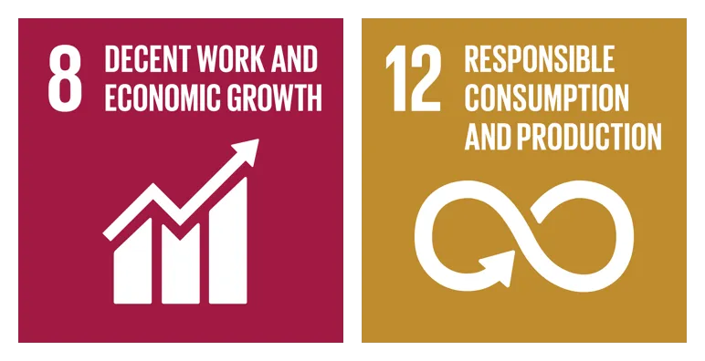 theglobalgoals icons color goal 8 12